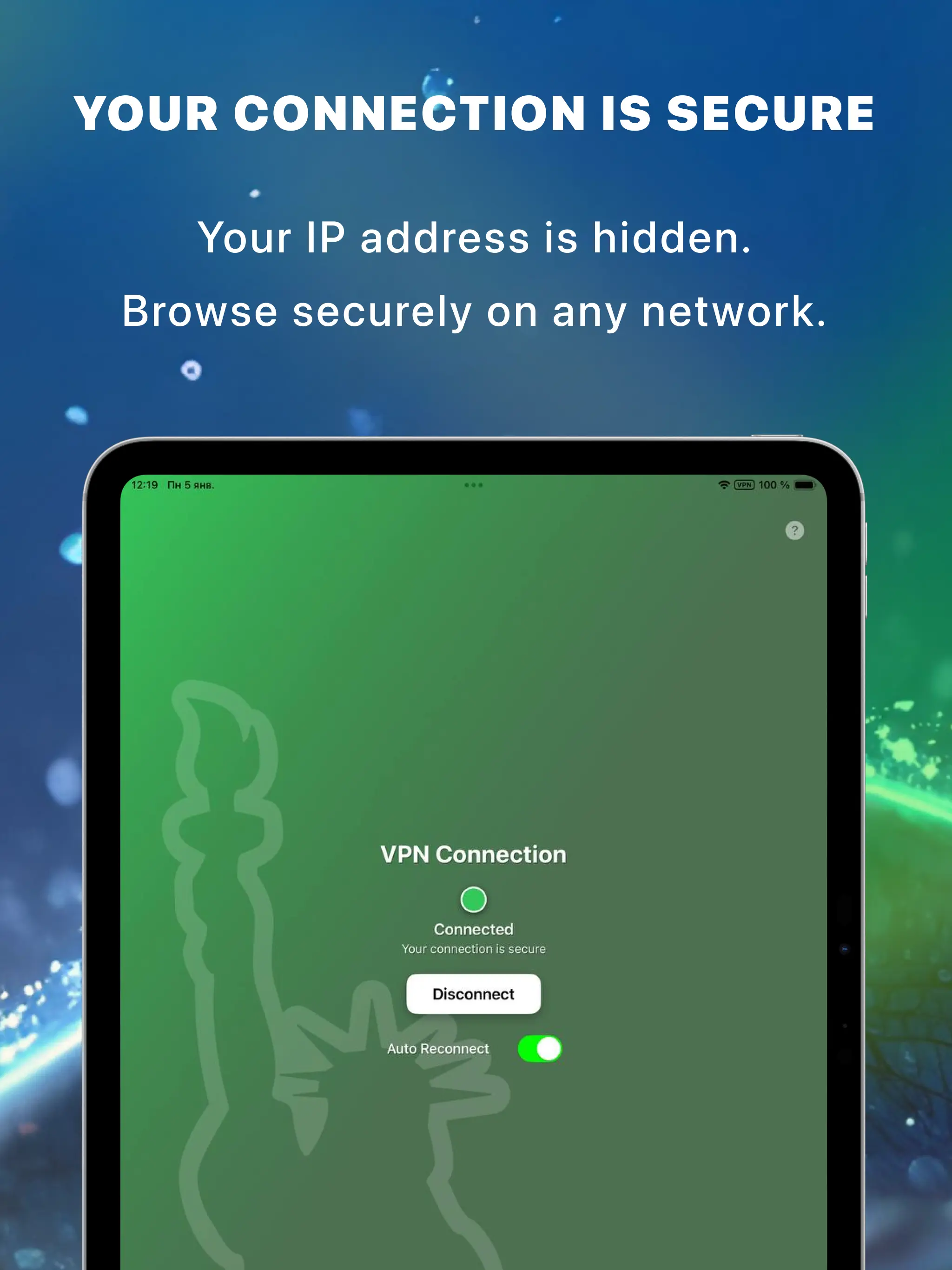 VPN iPad screenshot 2